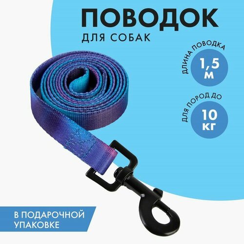 Поводок «Даже на краю света», 2 см, 1.5 м пушистое счастье поводок даже на краю света нейлон 2 см 3 м