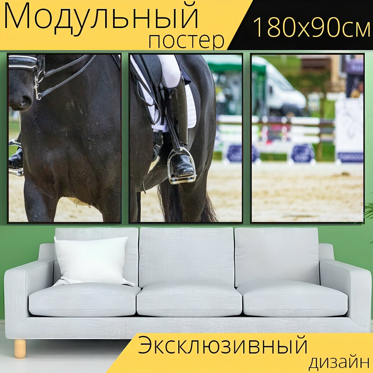 Модульный постер "Лошадь, лошади, выездка" 180 x 90 см. для интерьера