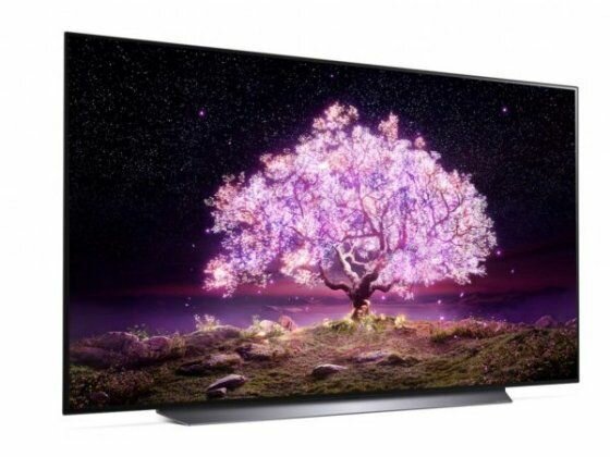Телевизор LG OLED48C2RLA, 48", OLED, Ultra HD 4K, темно-серый - фото №10