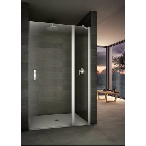 Душевая дверь распашная 110 см прозрачное стекло Provex Look 2006LN05GL