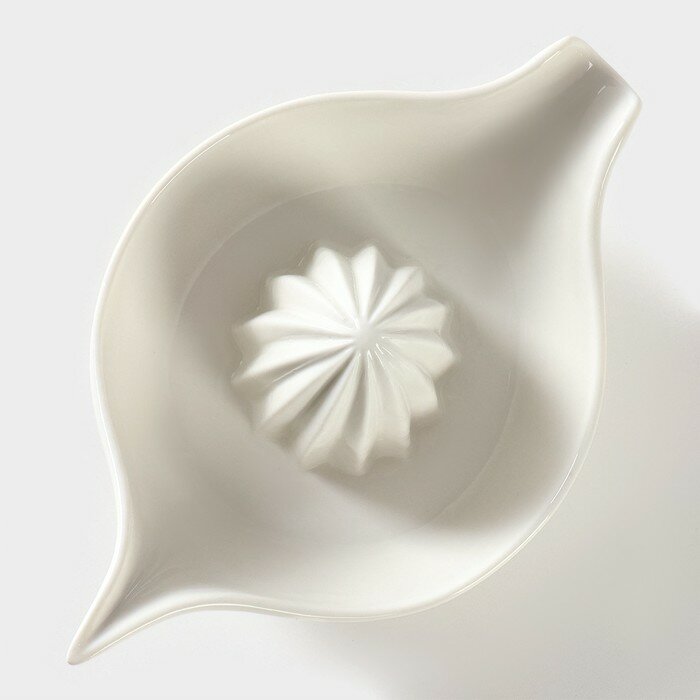 Соковыжималка фарфоровая, 19×12×7,5 см, цвет белый