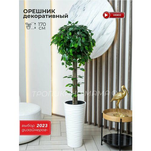 Дерево искусственное орешник