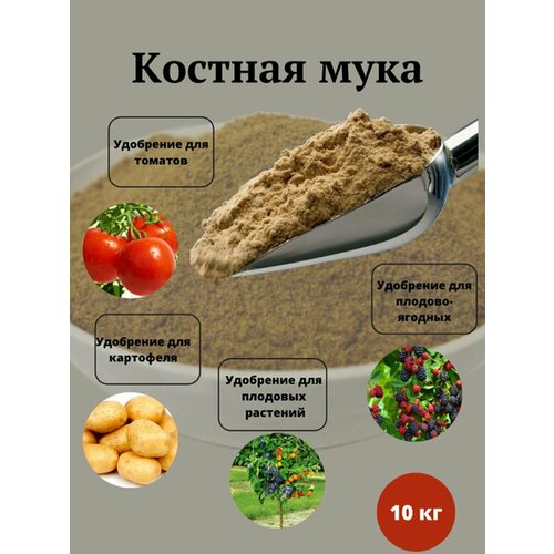 Костная мука