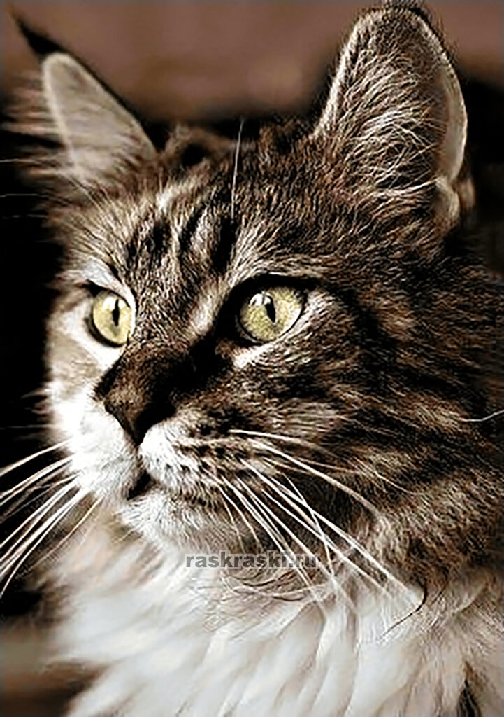 Ag159 - Домашний кот - мозаика Гранни - фото №2