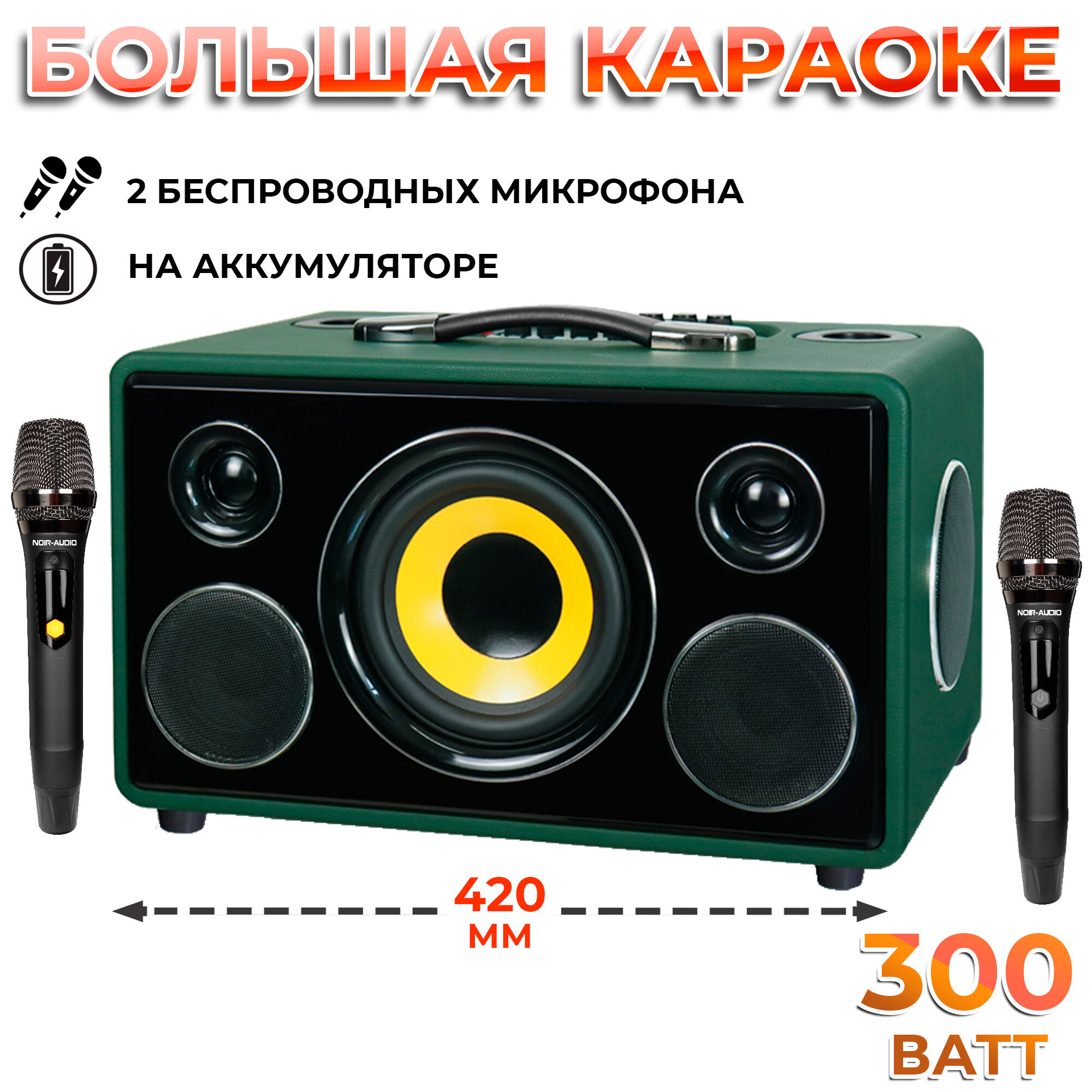 Караоке-система NOIR-Audio MAX-300 с двумя микрофонами и колонкой