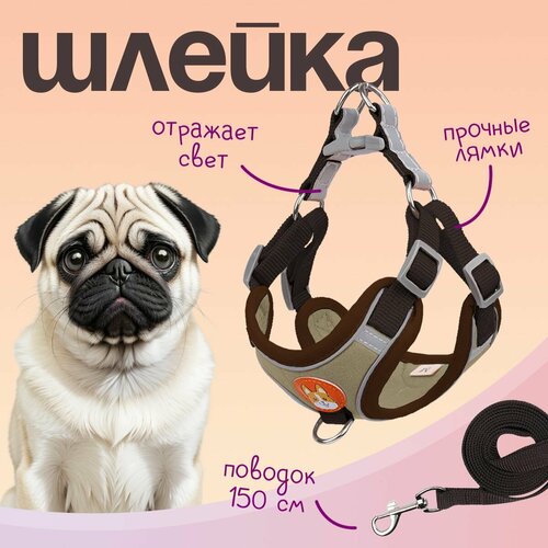 Шлейка MiloPets для собак и кошек, с поводком 150 см, обхват груди L 50-56 см, коричневый