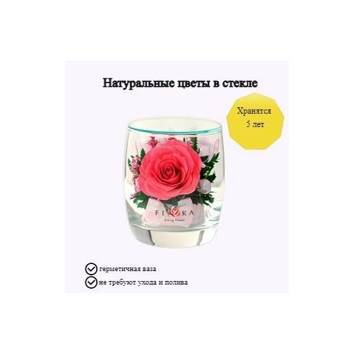 Композиция из натуральных цветов в стекле Fiora, 9х7.5 см