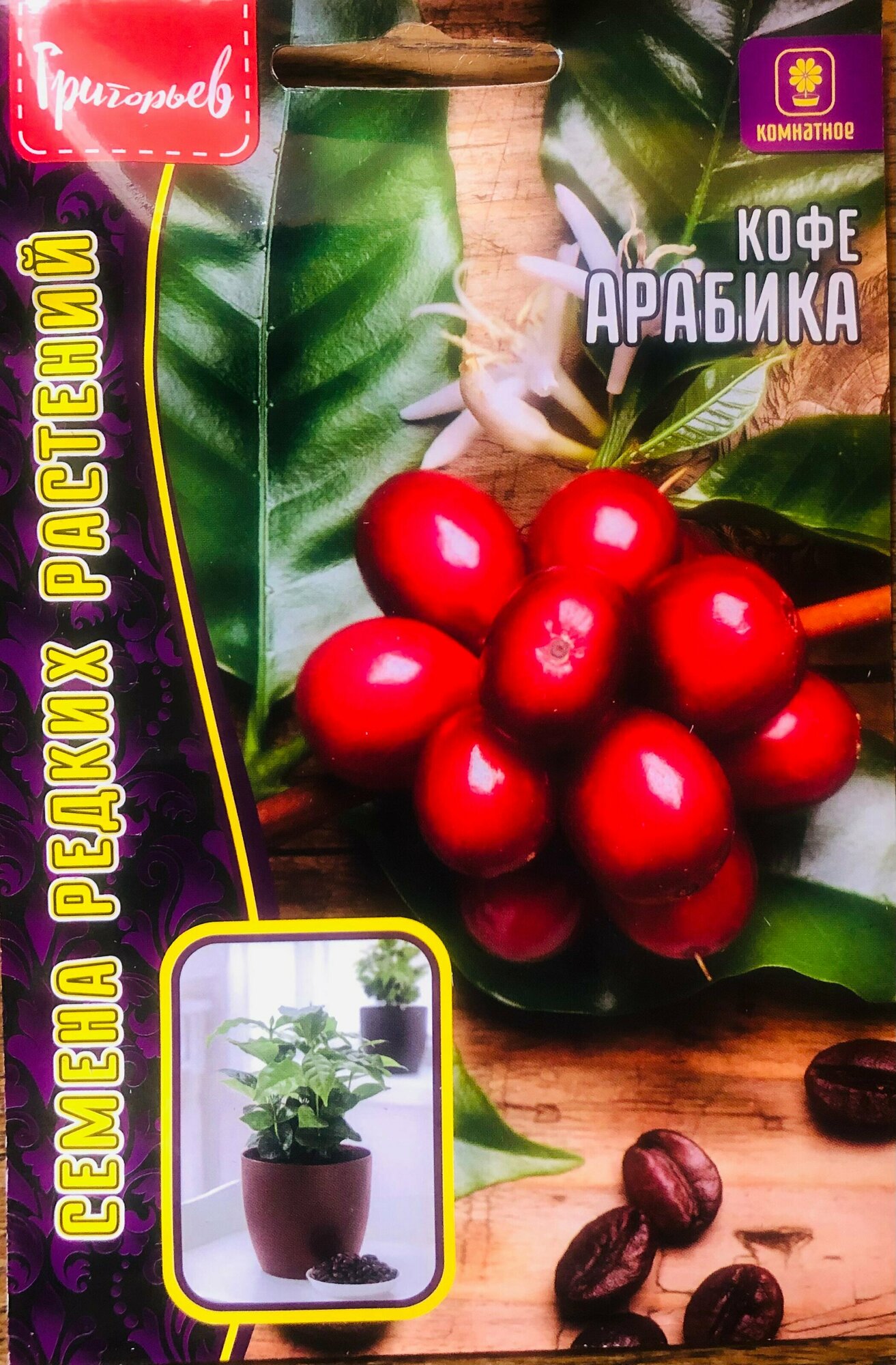 Семена Кофе "Арабика" (5 семян)