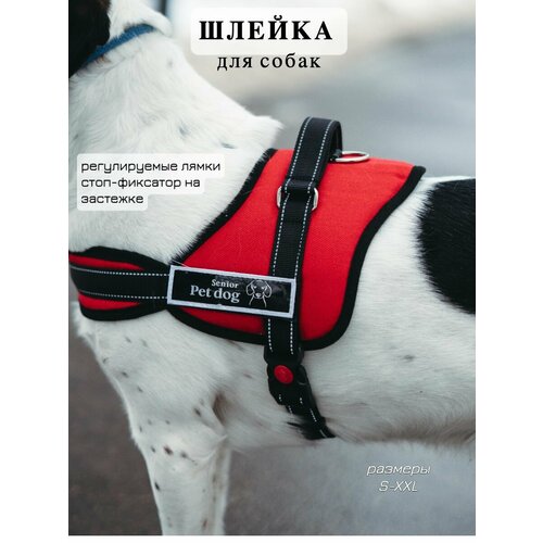 Шлейка для собак анатомическая размер XL для крупных средних и мелких пород средних и мелких пород 631₽