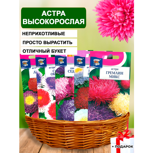 Семена астры высокой 5шт