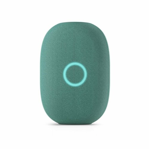 Умная колонка VK Капсула c голосовым помощником Марусей хвойный зеленый 1339000₽