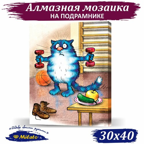 Алмазная мозаика на подрамнике 30х40 см MILATO 