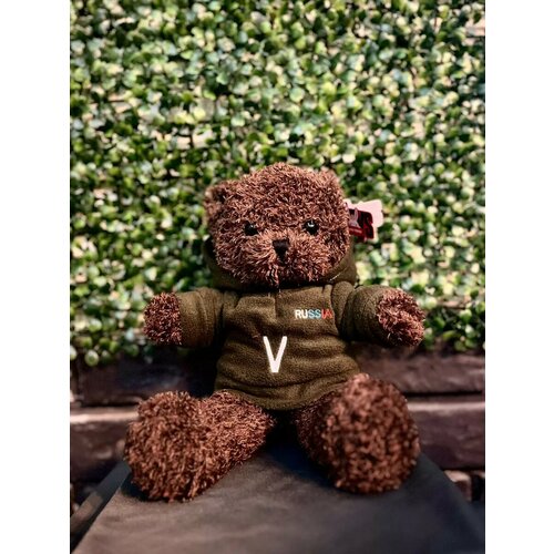 Мягкая игрушка. Мишка-патриот. Мягкий друг с большим сердцем!