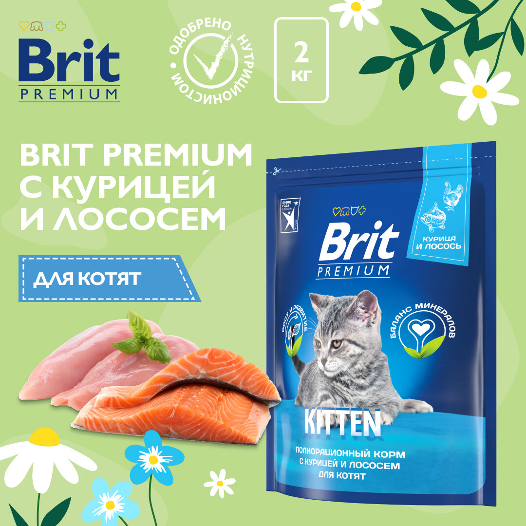 Сухой корм для котят Brit Premium Cat с курицей 2 кг