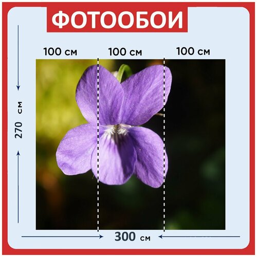 Фотообои Цветок фиолетовый природа 300x270 см флизелиновыена стену 3940₽