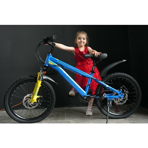 Велосипед Richiesto TT021 20 Стальная рама Hi-Ten Горный Детский Подростковый Для активного отдыха Унисекс синий 23500₽