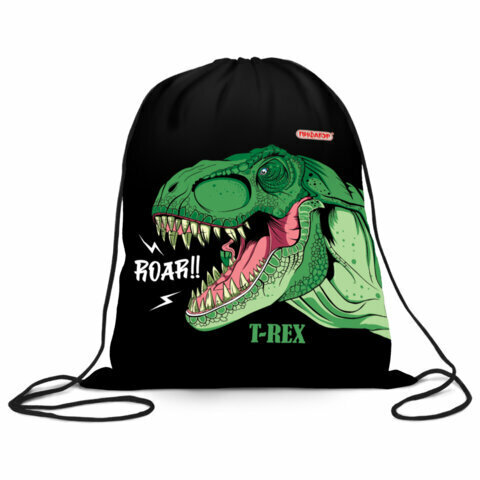 Мешок для обуви пифагор, 1 отделение, 40х32 см, Dino roar, 272387