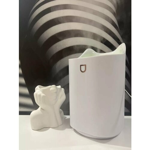 Увлажнитель воздуха 