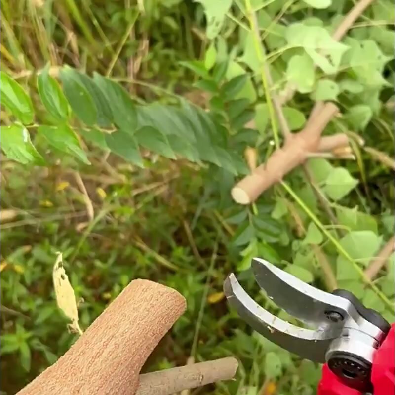 Секатор аккумуляторный электросекатор , садовый ручной сучкорез электрический в защитном кейсе, 2 Аккумулятора — фото 1