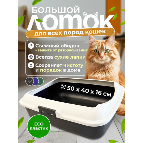 Лоток для туалета"Чистый Котик" с ободом, 50*40*16