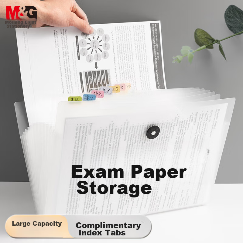Chenguang (M&G) Horizontal 13-Compartment Transparent Accordion File Folder, Multi-Layer Document Organizer, Portable Subject Folder, Tutoring Bag, Storage Pouch, File Holder, Student File Box AWT909G4