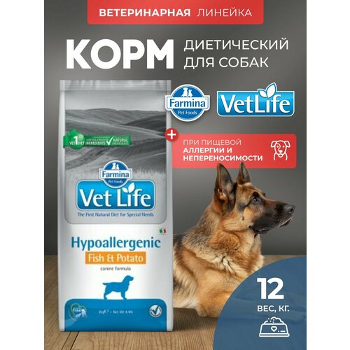 ВЕТ лайф ДОГ гипо рыба С картофелем 12 кг