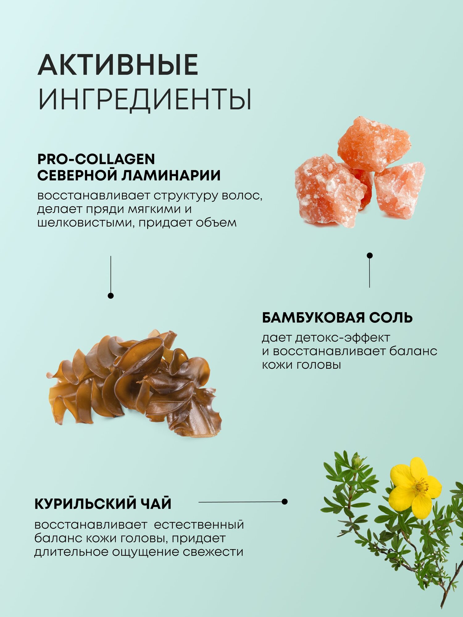 Natura Siberica Daily Detox Шампунь для жирных волос глубокой очистки балансирующий себорегулирующий, объем и детокс 400 мл — фото 1