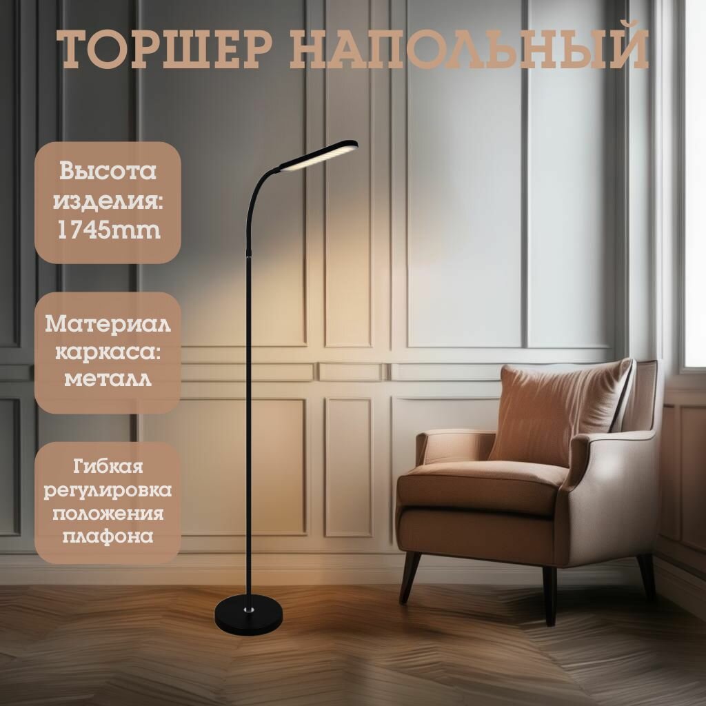 Торшер напольный Reluce LED 00089-0.6-01 BK