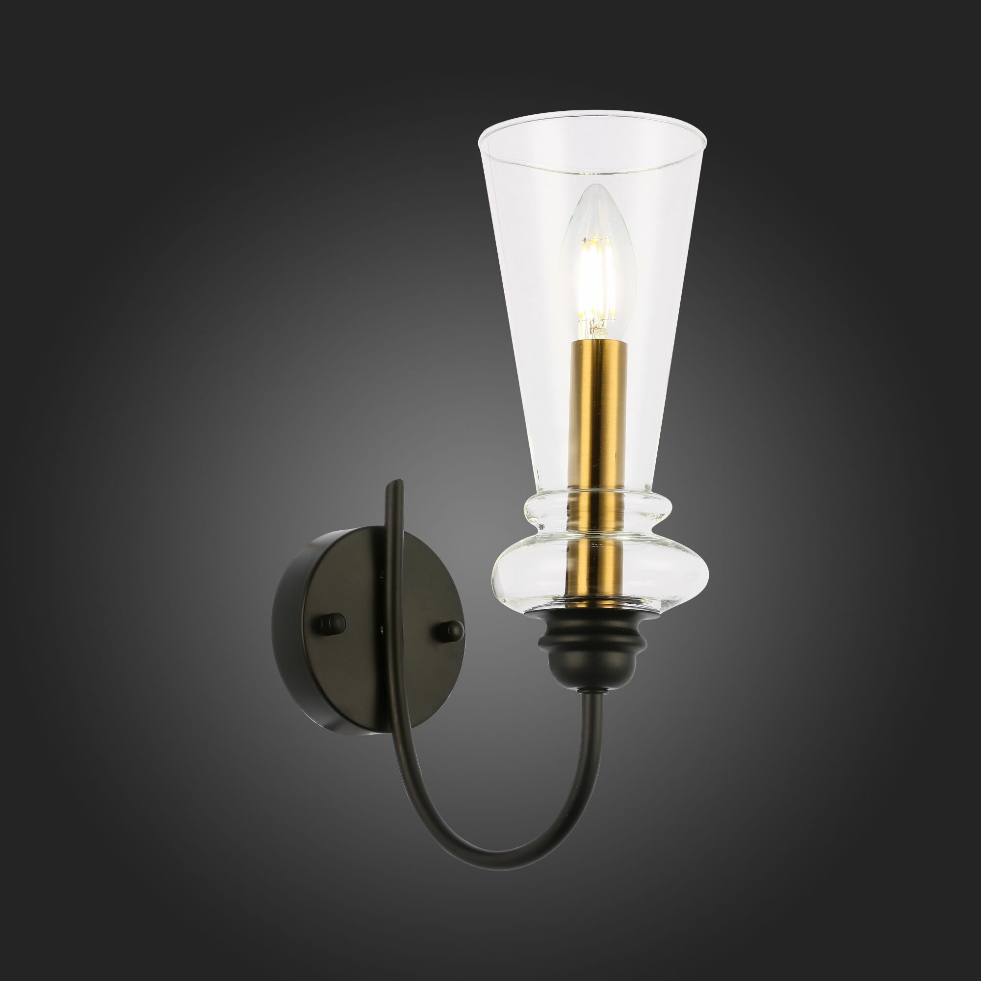 Бра Evoluce RAMMO SLE112401-01 - фото №6