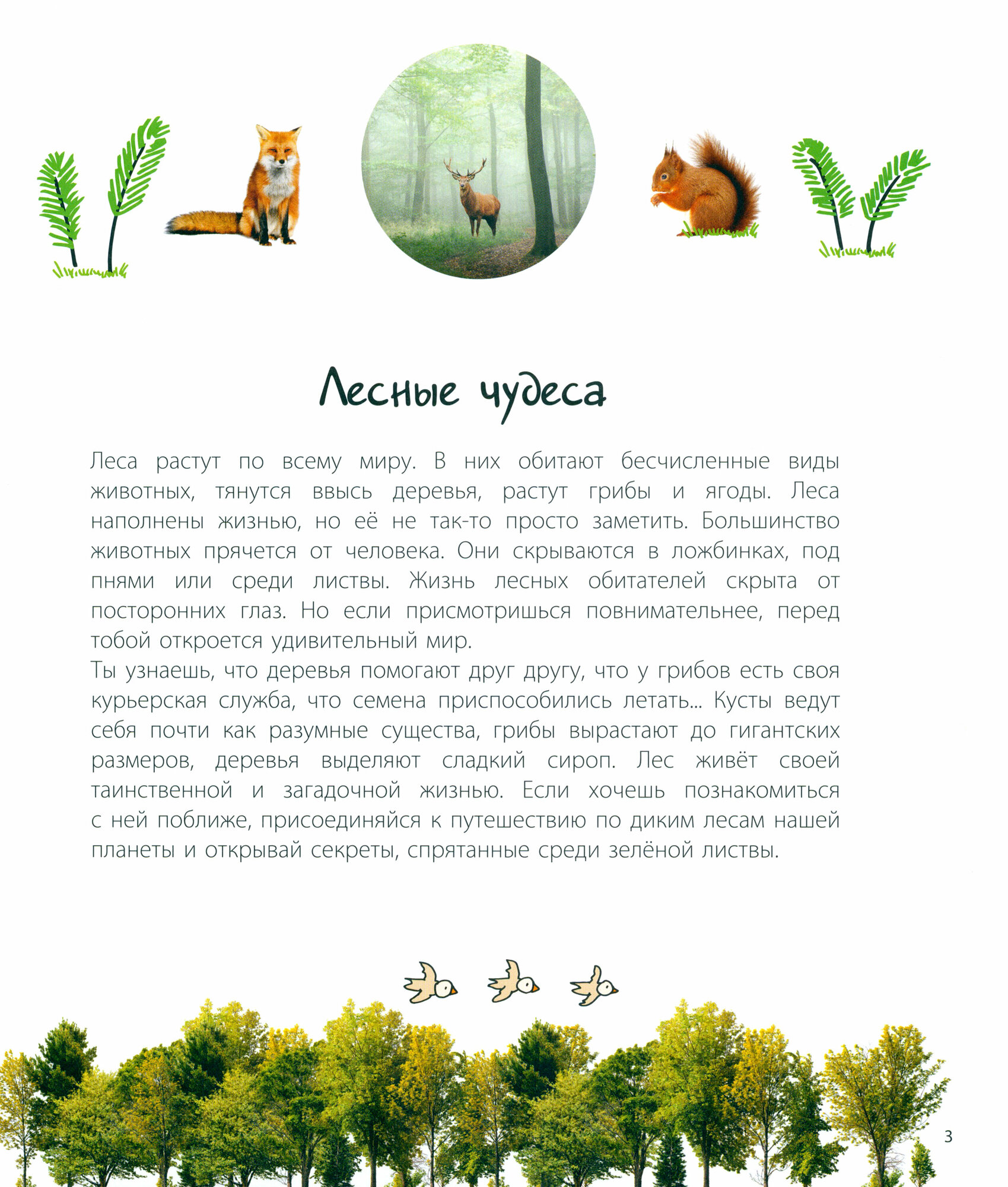 Таинственный лес и его обитатели - фото №10
