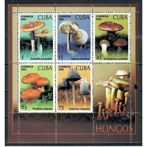 Почтовые марки Куба 2002г. Грибы Грибы MNH