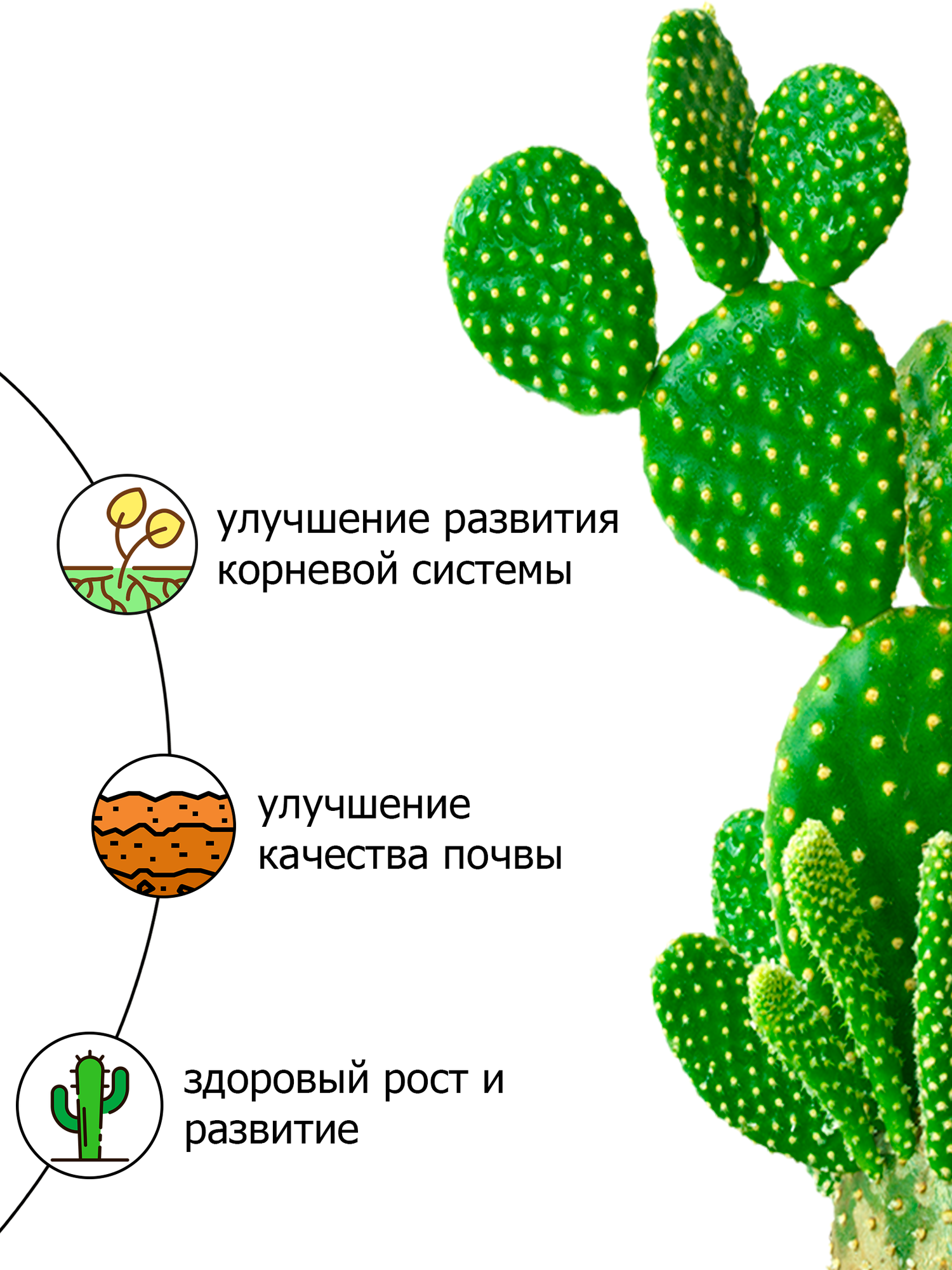 Грунт (земля) для кактусов и суккулентов Пуршат. Почвогрунт с торфом и биогумусом для удобрения (Purshat) 1 л