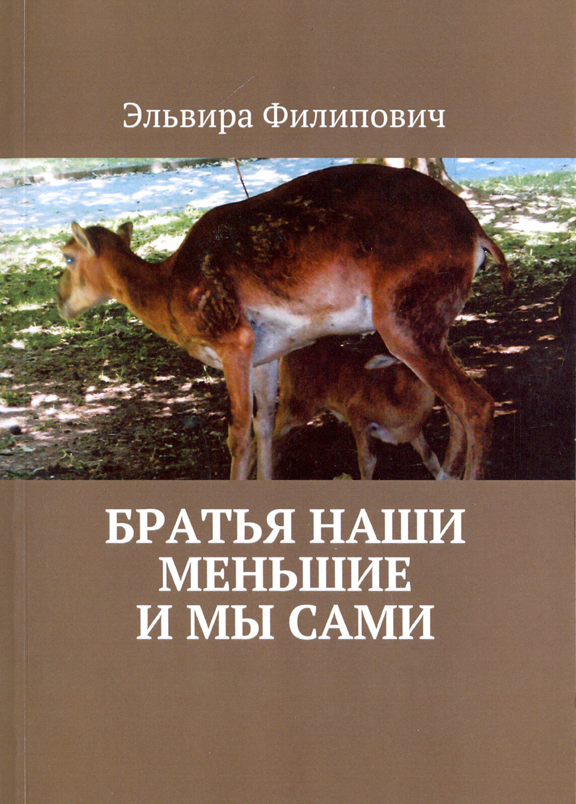 Братья наши меньшие и мы сами (Филипович Эльвира Григорьевна) - фото №2