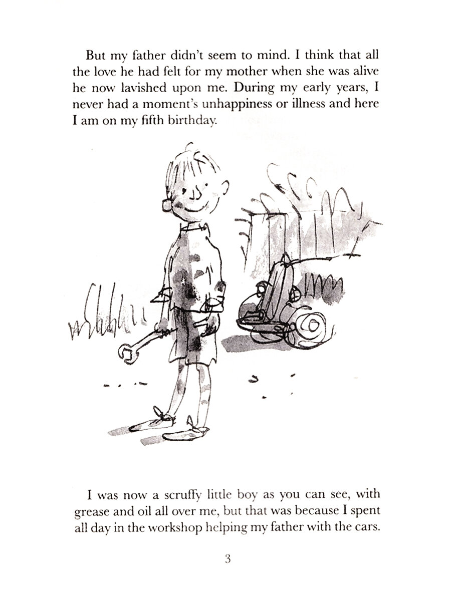 Roald Dahl Collection, 16 книг - фото №17