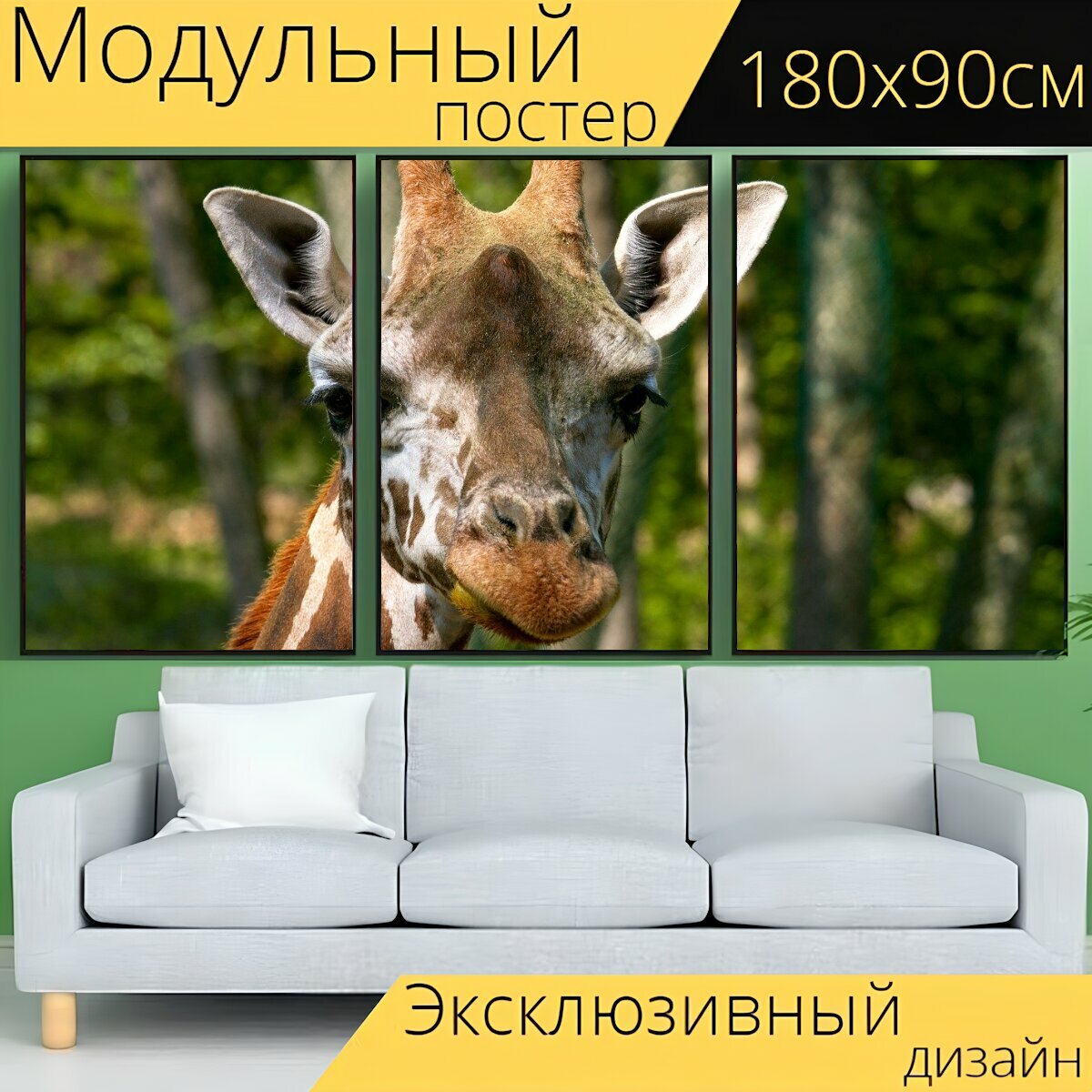 Модульный постер "Жирафа, животное, голова" 180 x 90 см. для интерьера