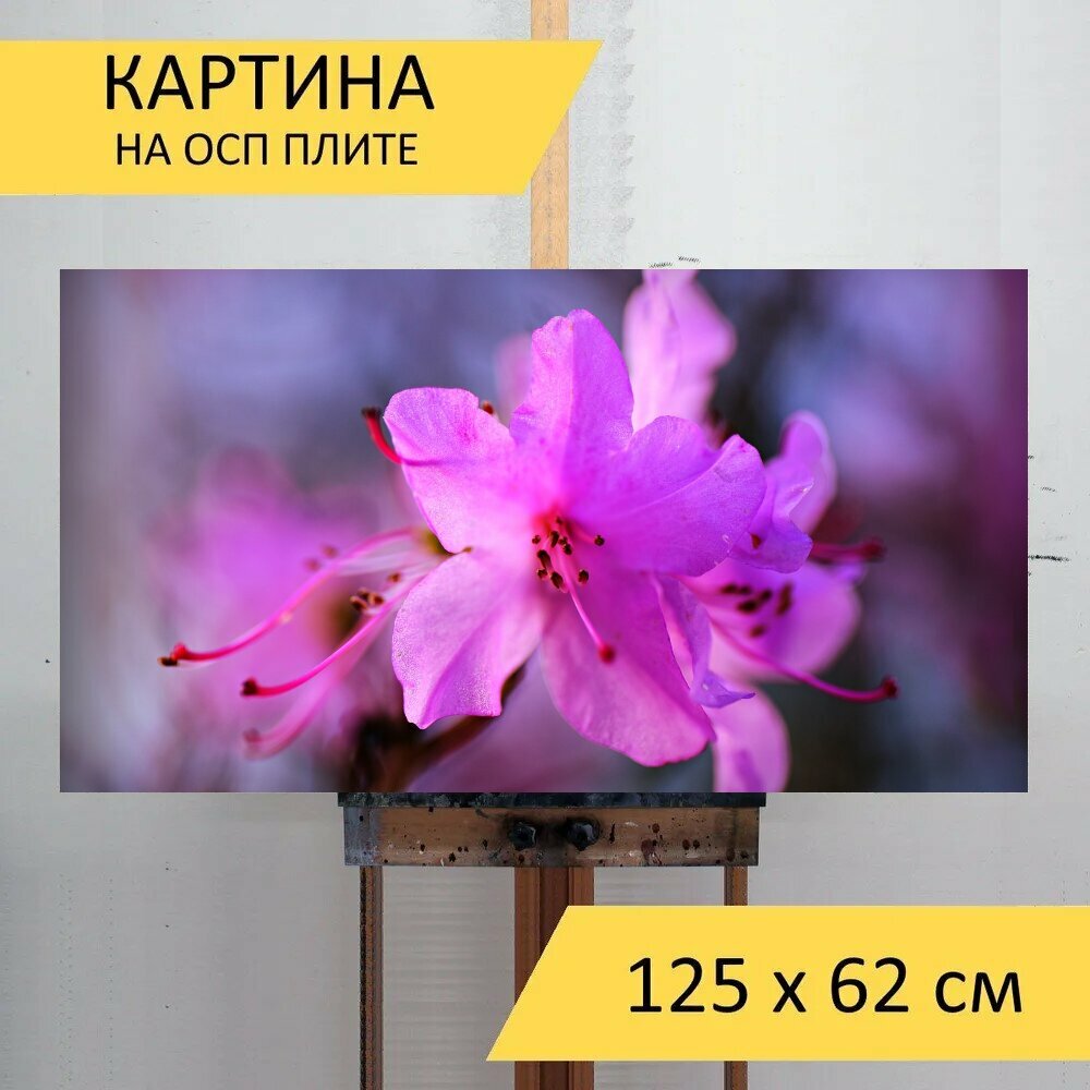 Картина на ОСП 125х62 см. 