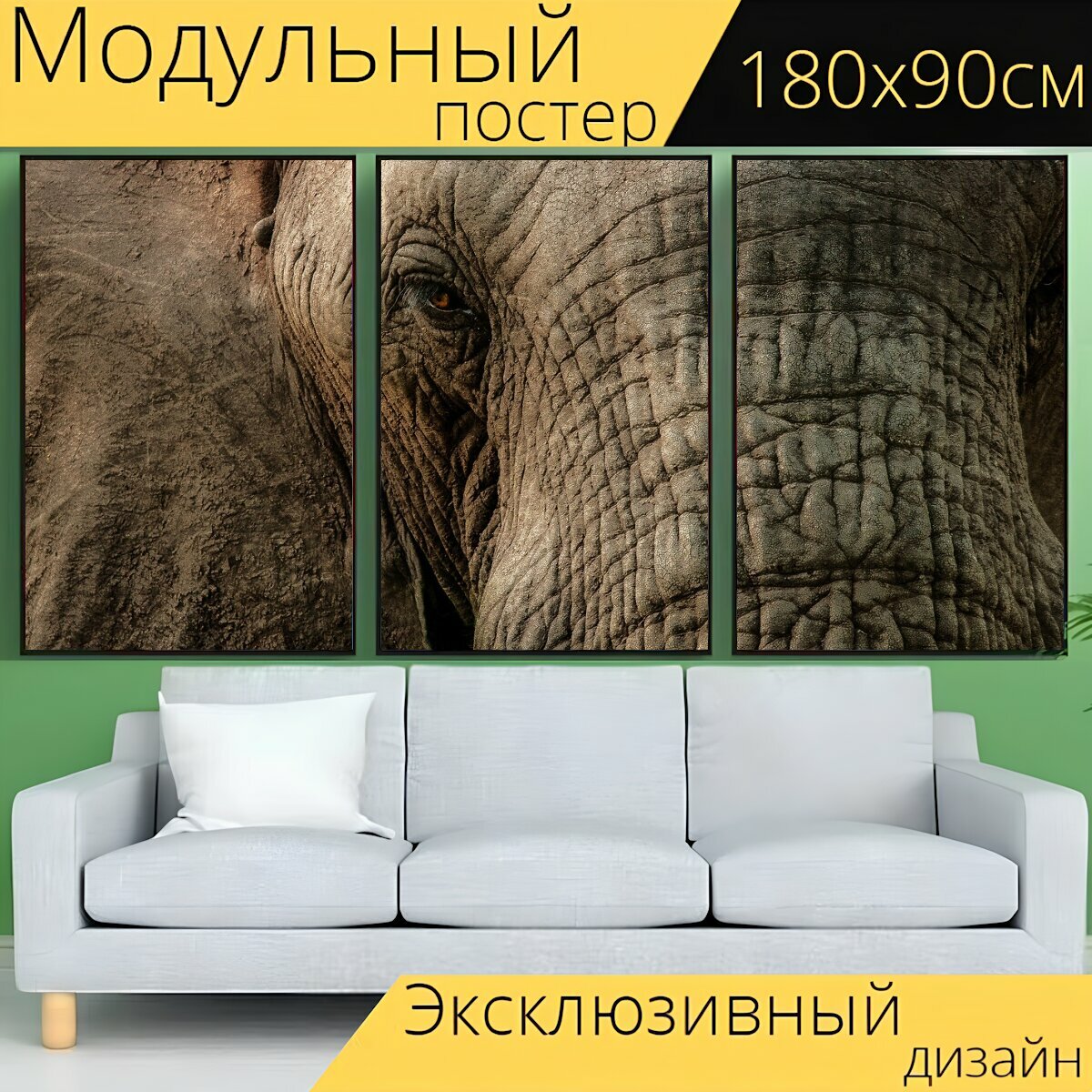 Модульный постер "Слон, закрыть, ствол" 180 x 90 см. для интерьера