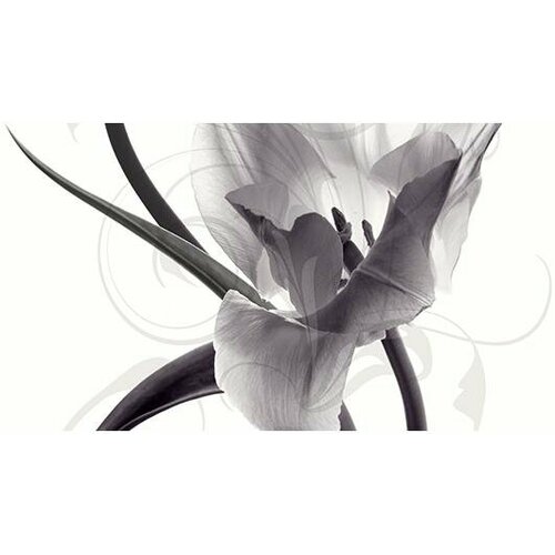 Керамическая плитка Ceradim Dec Pulsar Panno C КПН16PulsarC Панно 25x45 (цена за 23 компл)