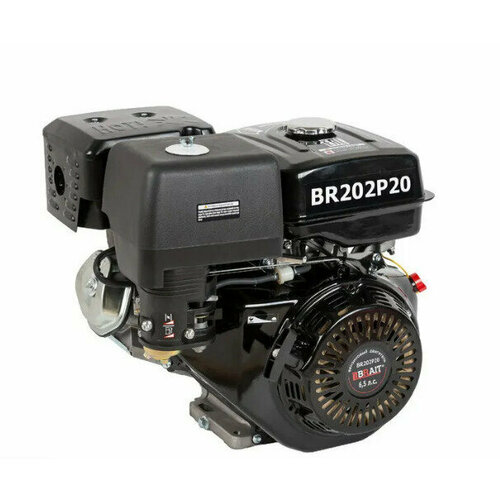 Двигатель бензиновый BR202P20 BRAIT
