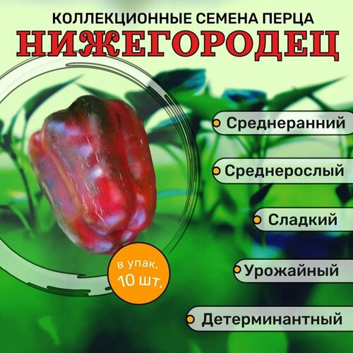 Коллекционные семена перца сладкого Нижегородец