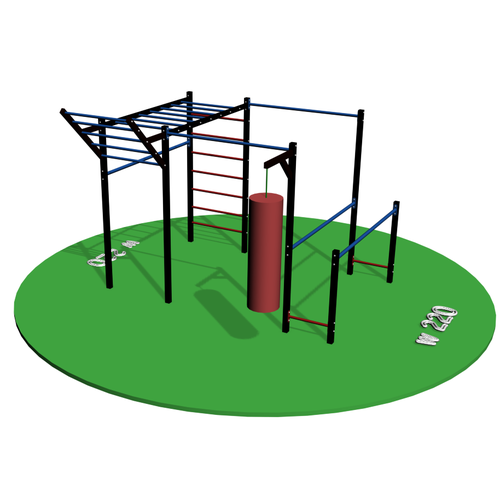 Воркаут SSWA №220