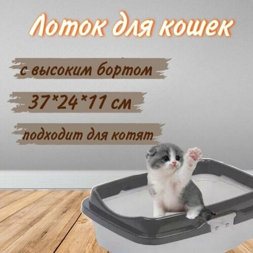 Туалет для котят Догуш малый с бортом, 25,5*37*12,5 см