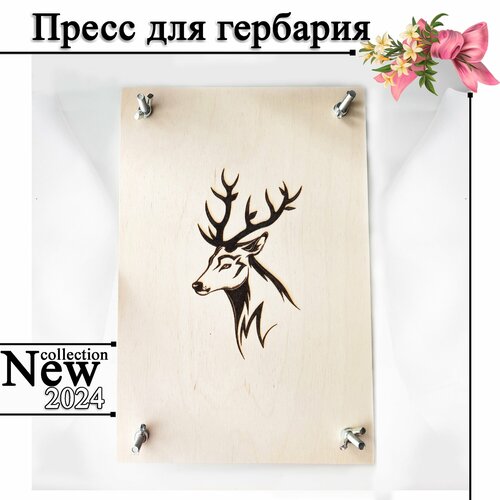 Пресс для гербария 2990₽