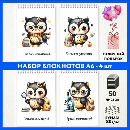 Набор блокнотов А6 - 4 шт подарок выпускнику детского сада на 1 сентября и День Рождения Школьная сова 000 - 1 notepad_school_owls_000_A6_set_1 699₽