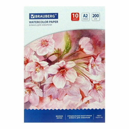 Папка для акварели А2, 400 х 590 мм, 10 листов, блок 200 г/м2 бумага по ГОСТ 7277-77 (комплект из 3 шт)