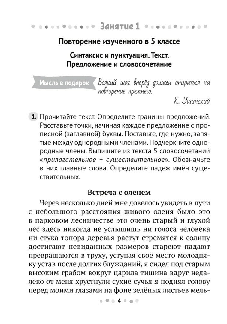 Русский язык. 6 класс. Тренажёр - фото №4