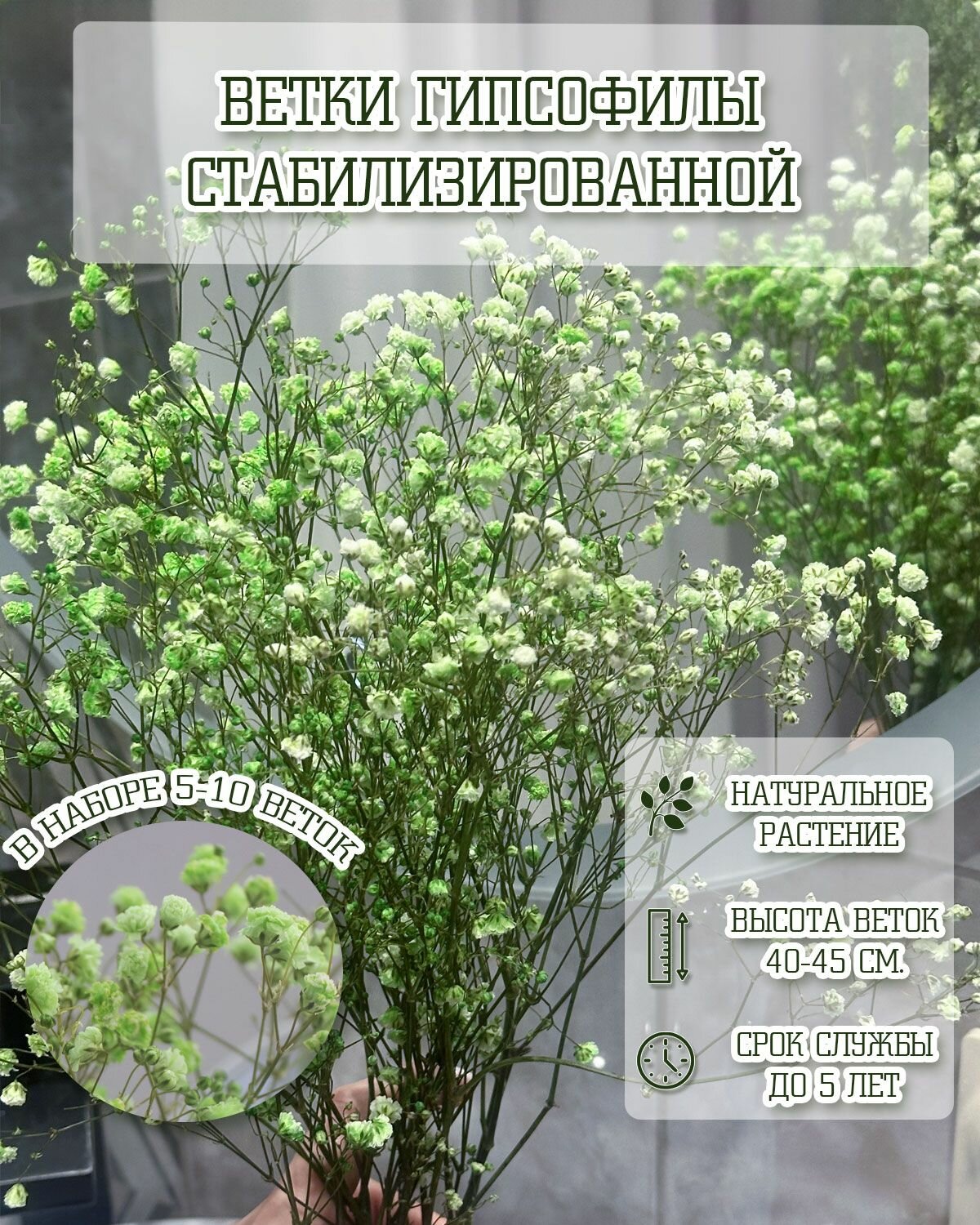 Букет живых стабилизированных цветов -зеленая гипсофила, цветы для вазы