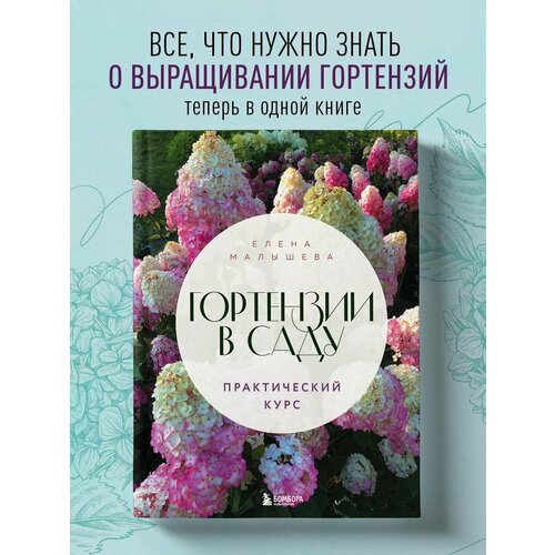 комплект метельчатых гортензий веспер 2 саженца в горшках р9 szkolka roslin a m польша Гортензии в саду. Практический курс