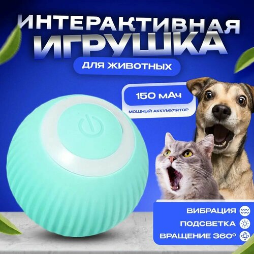 Игрушка для кошек и собак интерактивная, мяч бирюзовый NSN