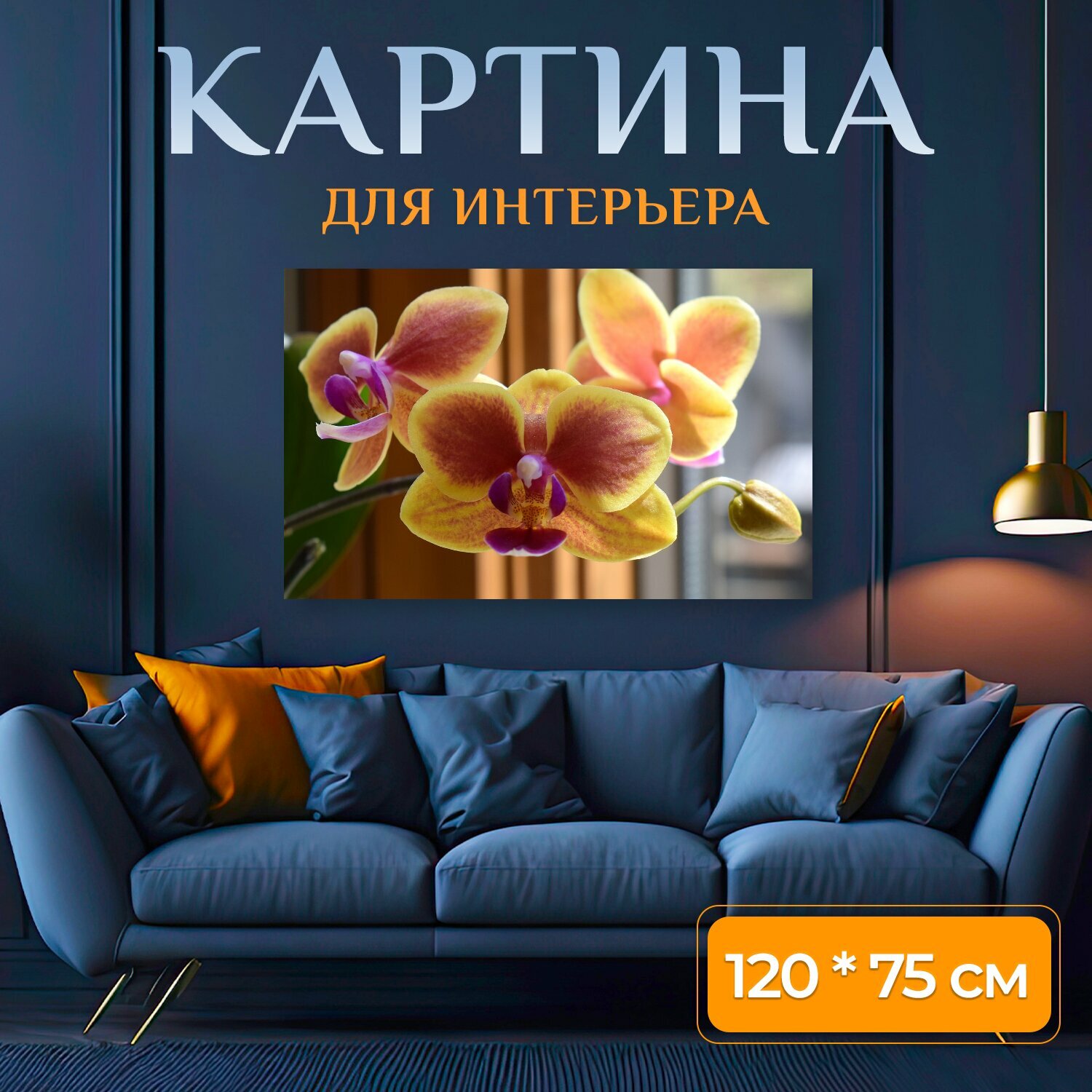 Картина на холсте "Гибридный фаленопсис, фаленопсис, орхидея" на подрамнике 120х75 см. для интерьера